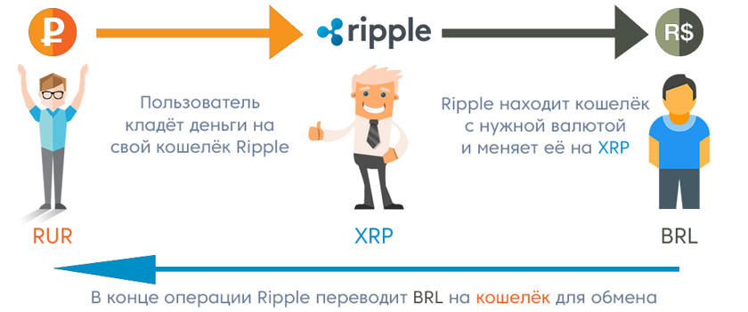 рипл знания о кошельке. рубрика faq