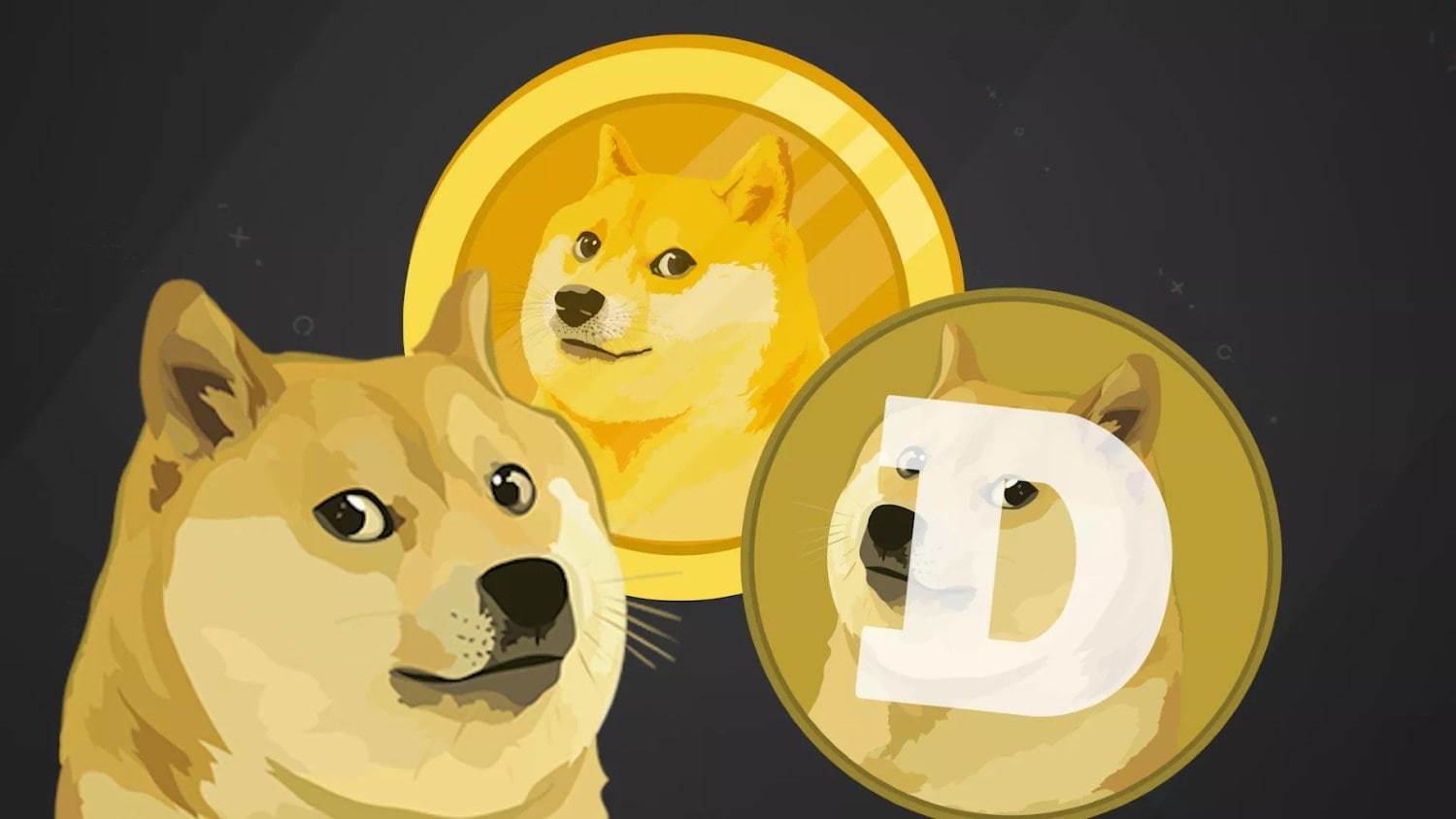 💵 Криптовалюта DOGEcoin. История, кошелек и курс Doge