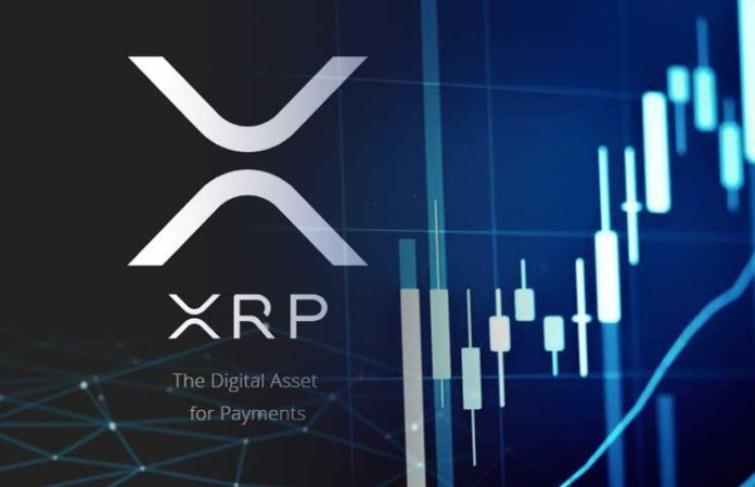 Курс Ripple и прогноз. Купить риппл в биткоин обменнике